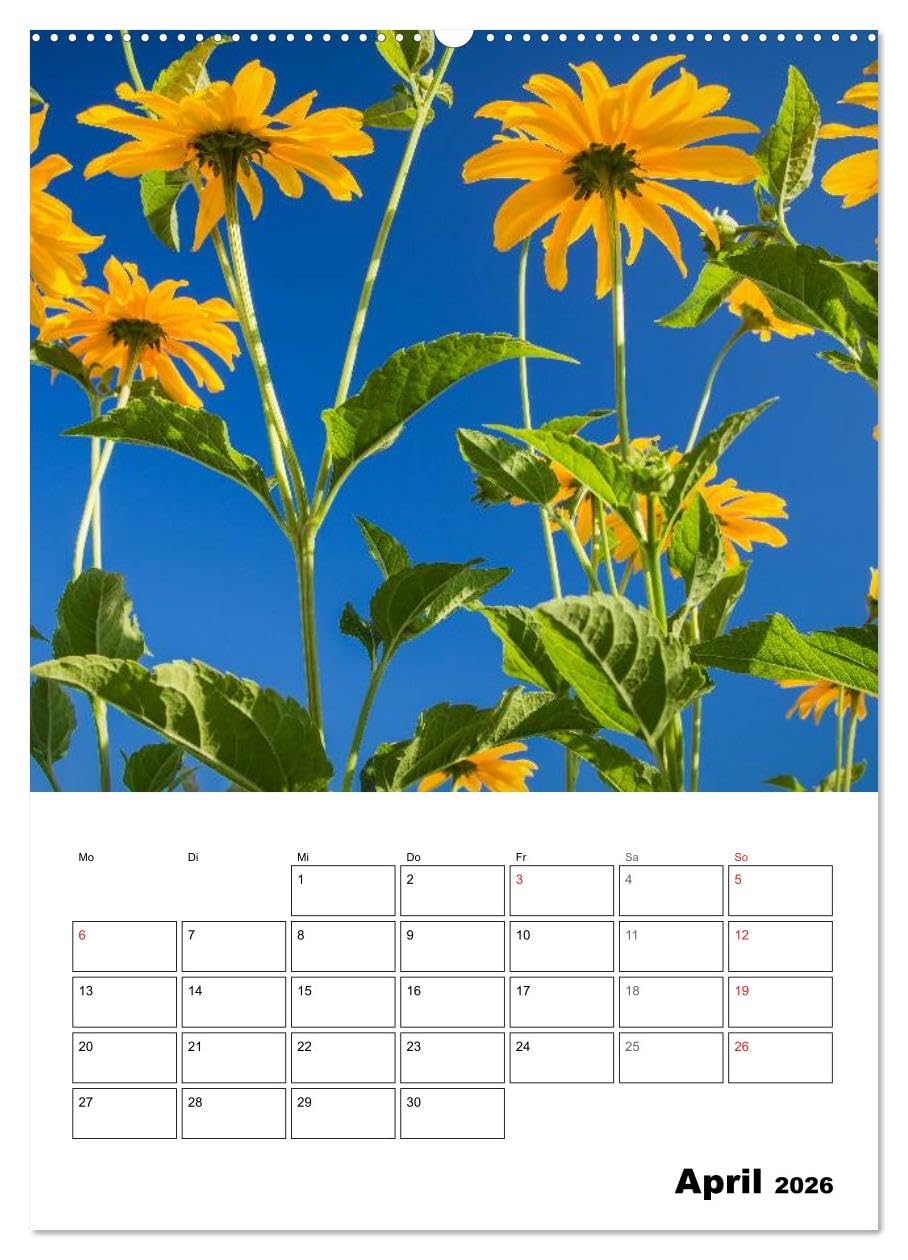 Farben der Natur (hochwertiger Premium Wandkalender 2026 DIN A2 hoch), Kunstdruck in Hochglanz: Farben für die Seele! Jede Farbe hat eine Wirkung und ... Gefühle und unsere Stimmung. (CALVENDO Natur)