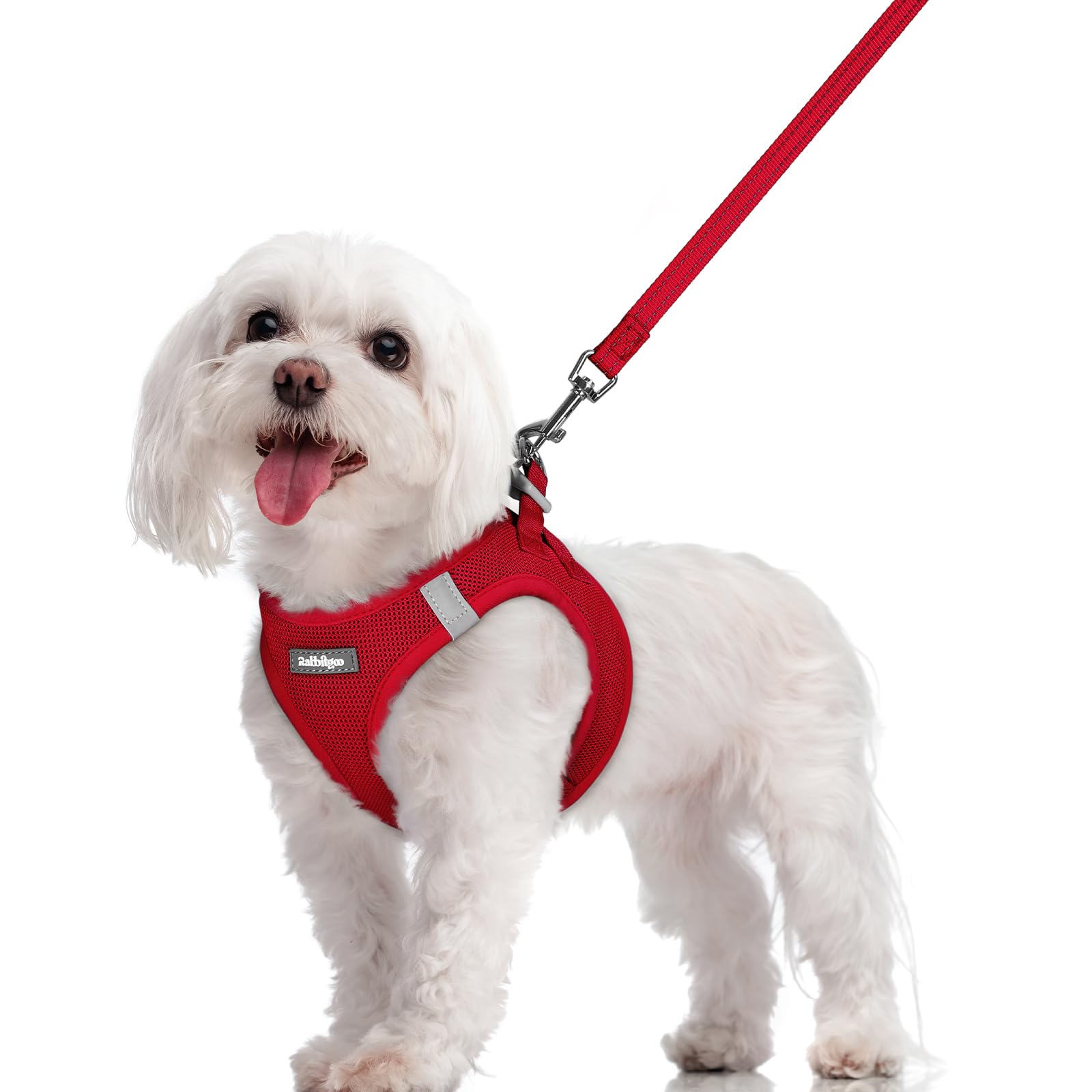 rabbitgoo Dog Harness Small Dog and Leash Set, Step-in Soft Mesh Puppy Harness with Reflective Strips, Lightweight Breathable Pet Vest for Walking Training, Red, M