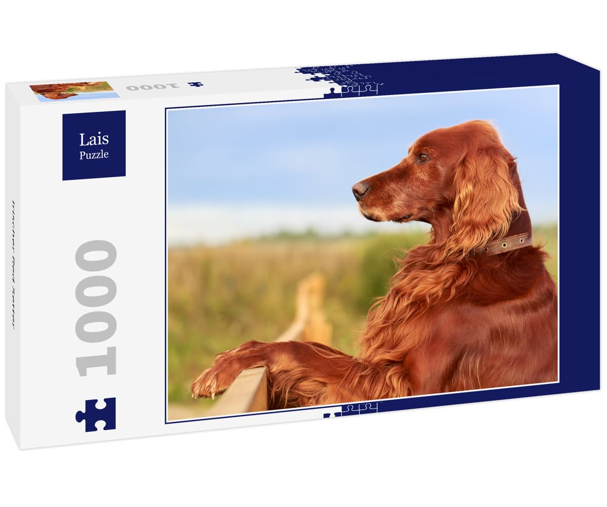 Lais Puzzle Irischer Red Setter – 1000 Teile, Hochwertige Stanzung, Stabile Schachtel