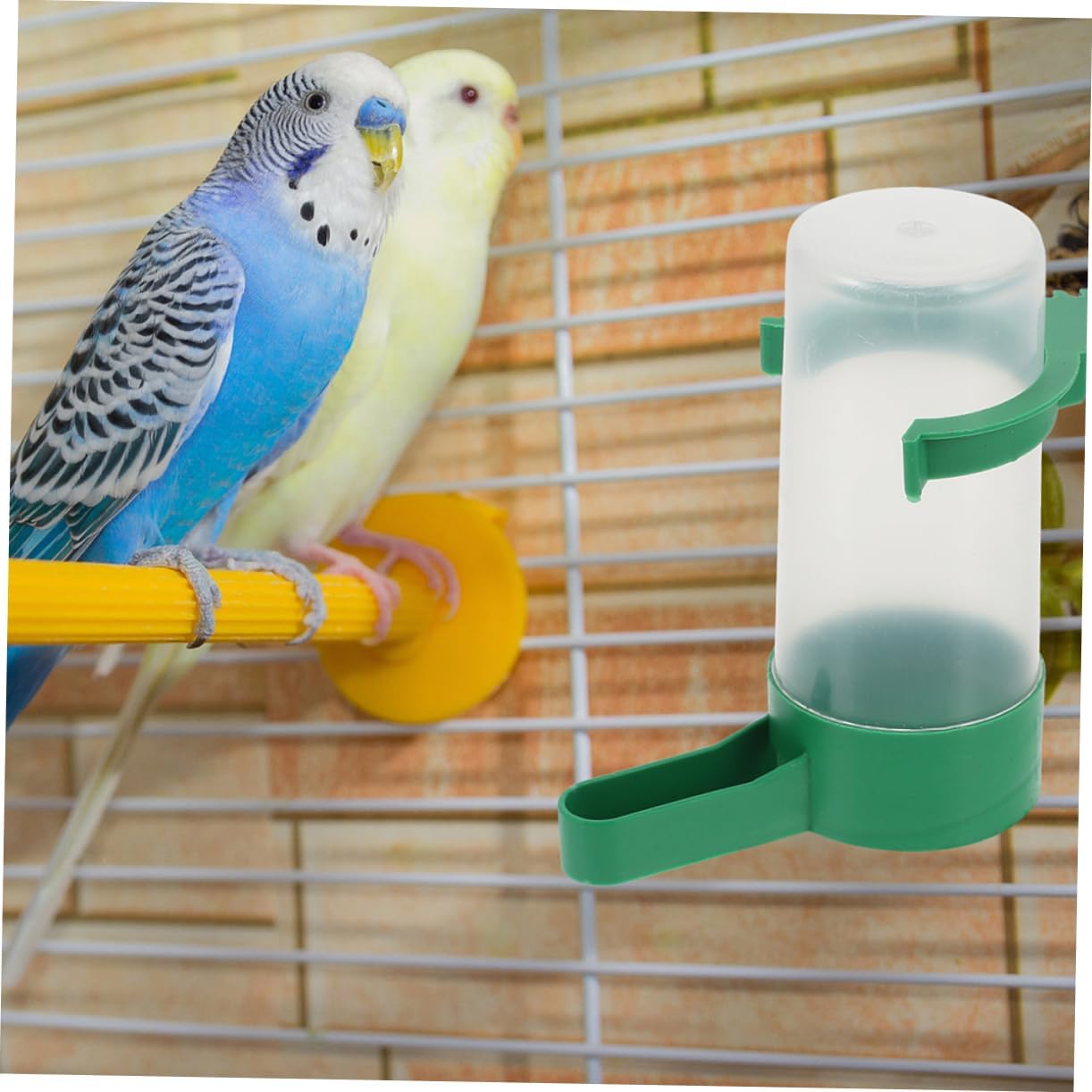 20pcs Chick Waterer Hanging Bird Water Dispenser Parrot Water Bottle for Bird Cage Spill Design
