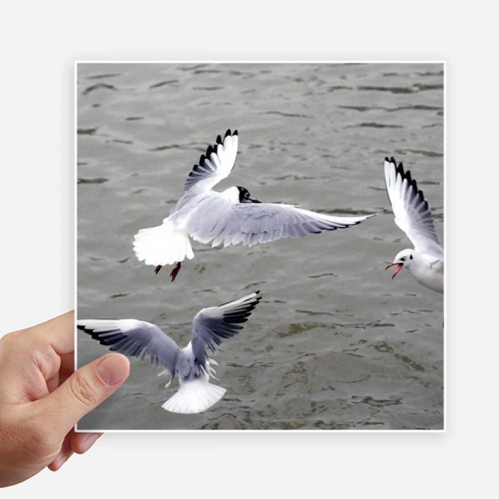 Aves de océano stickers de 20cm para personalizar tu maleta y moto con estilo de mar