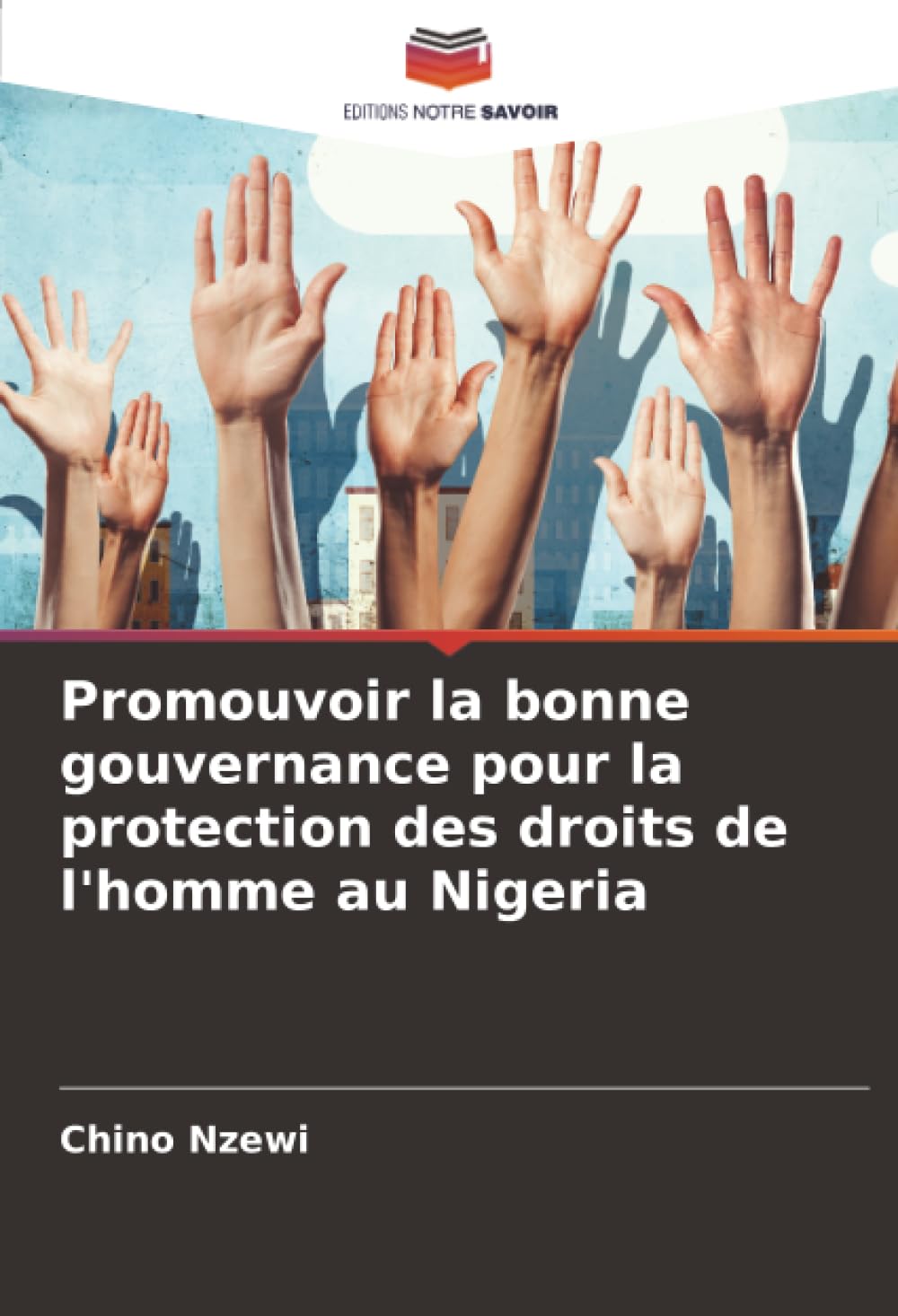 Promouvoir la bonne gouvernance pour la protection des droits de l'homme au Nigeria