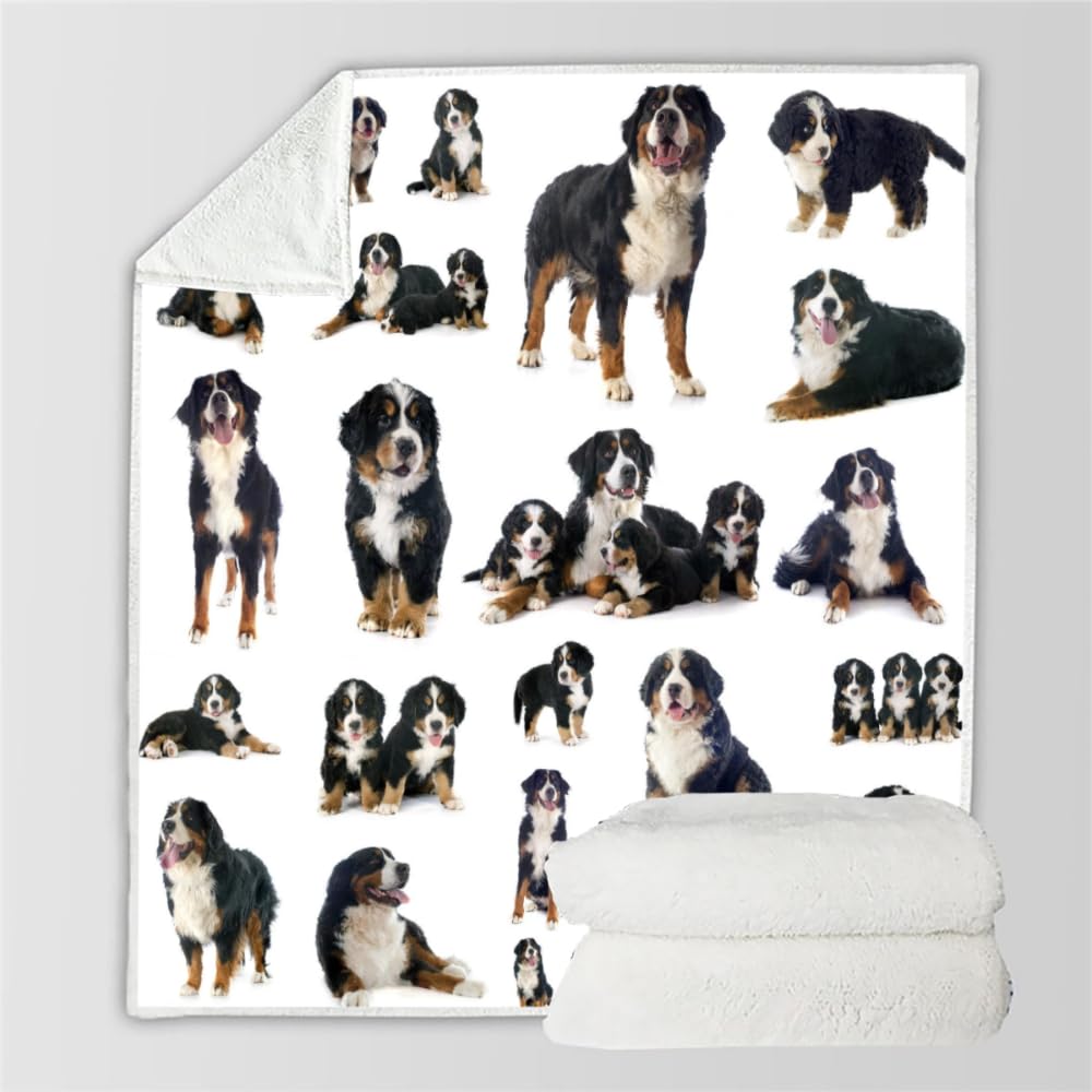 Douce Flanelle Couverture Polaire 3D Chien Montagne Bernois Microfibre Fluffy Couverture de literie 2 Personne Chien Compagnie Enfant Adultes Fille Garcon Sherpa Couverture de canapé 150x200cm