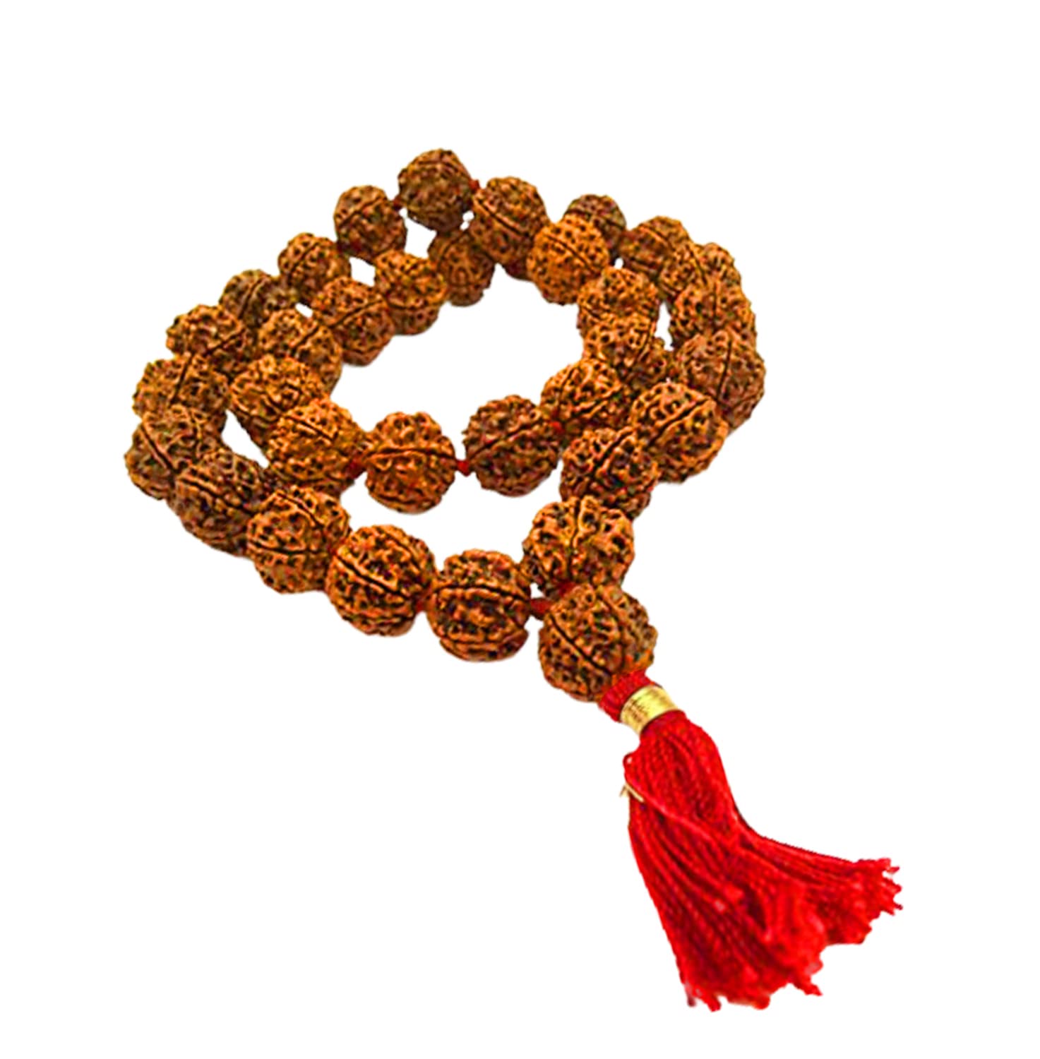 Original 6 Mukhi Rudraksh Kantha Mala 6 Face Rudraksha Mala (6 Mukhi Rudraksha 54+1 Beads) (B0C2DFX39D) Amazon Price History, Amazon Price Tracker