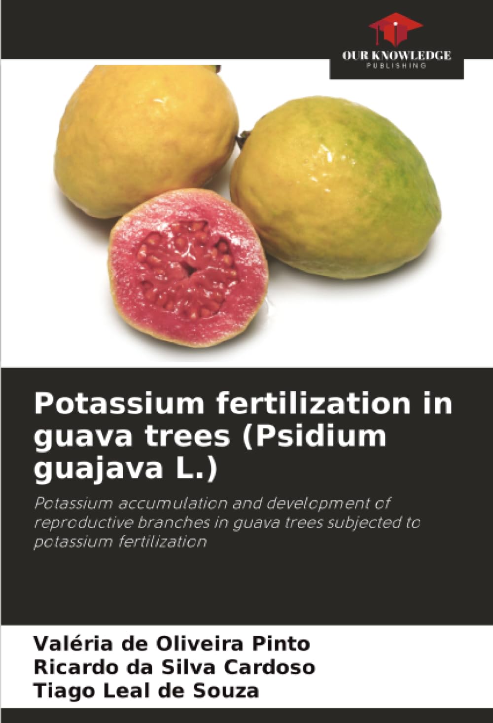 Potassium fertilization in guava trees (Psidium guajava L.): Potassium accumulation and development of reproductive branches in guava trees subjected to potassium fertilization