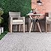 nuLOOM Wynn Braided Indoor/Outdoor Area Rug- 2' x 3', Light Grey/Salt and Pepper, Rectangular, 0.3
