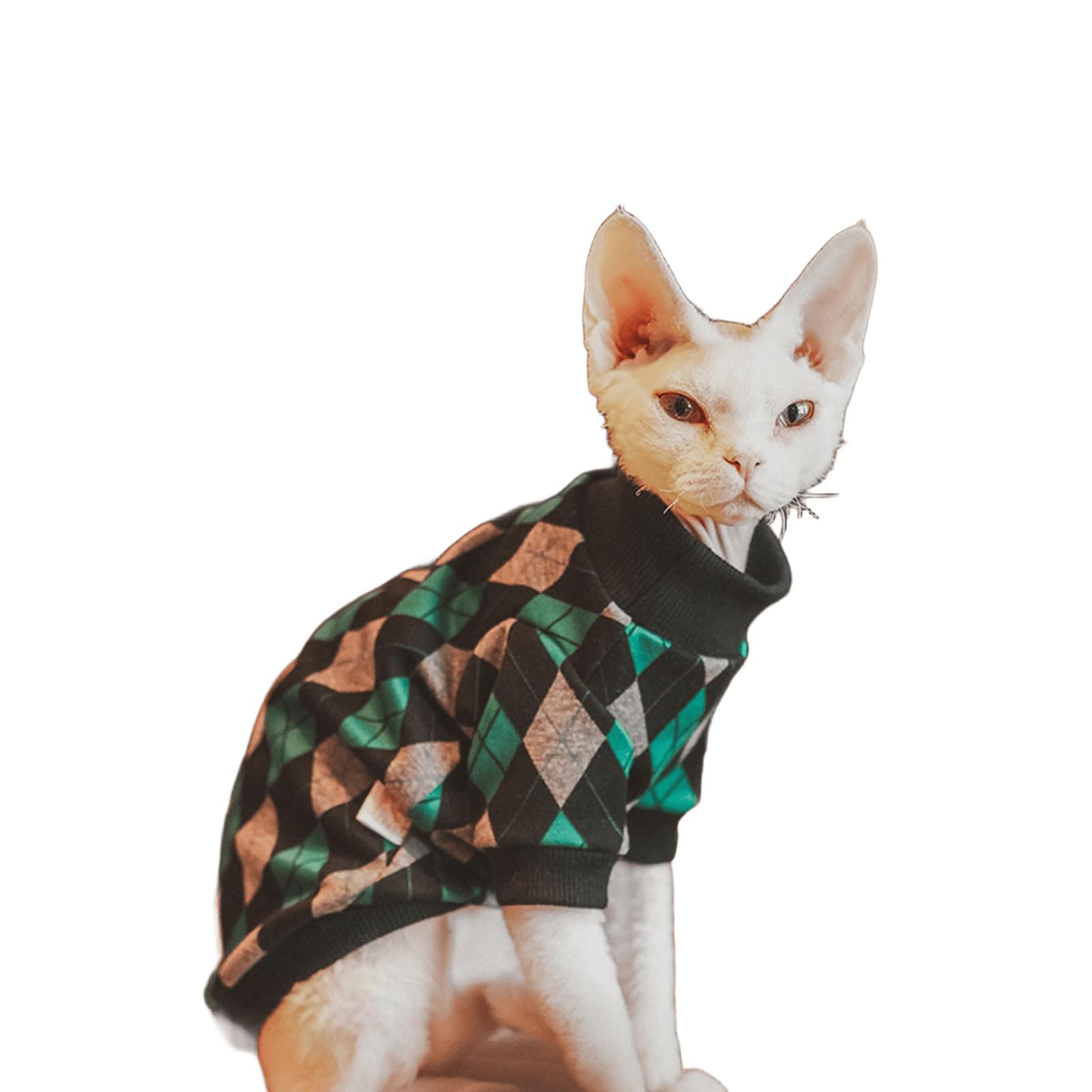 Pullover check pour chats Devon Rex idéal pour les siestes et moments de jeu au salon