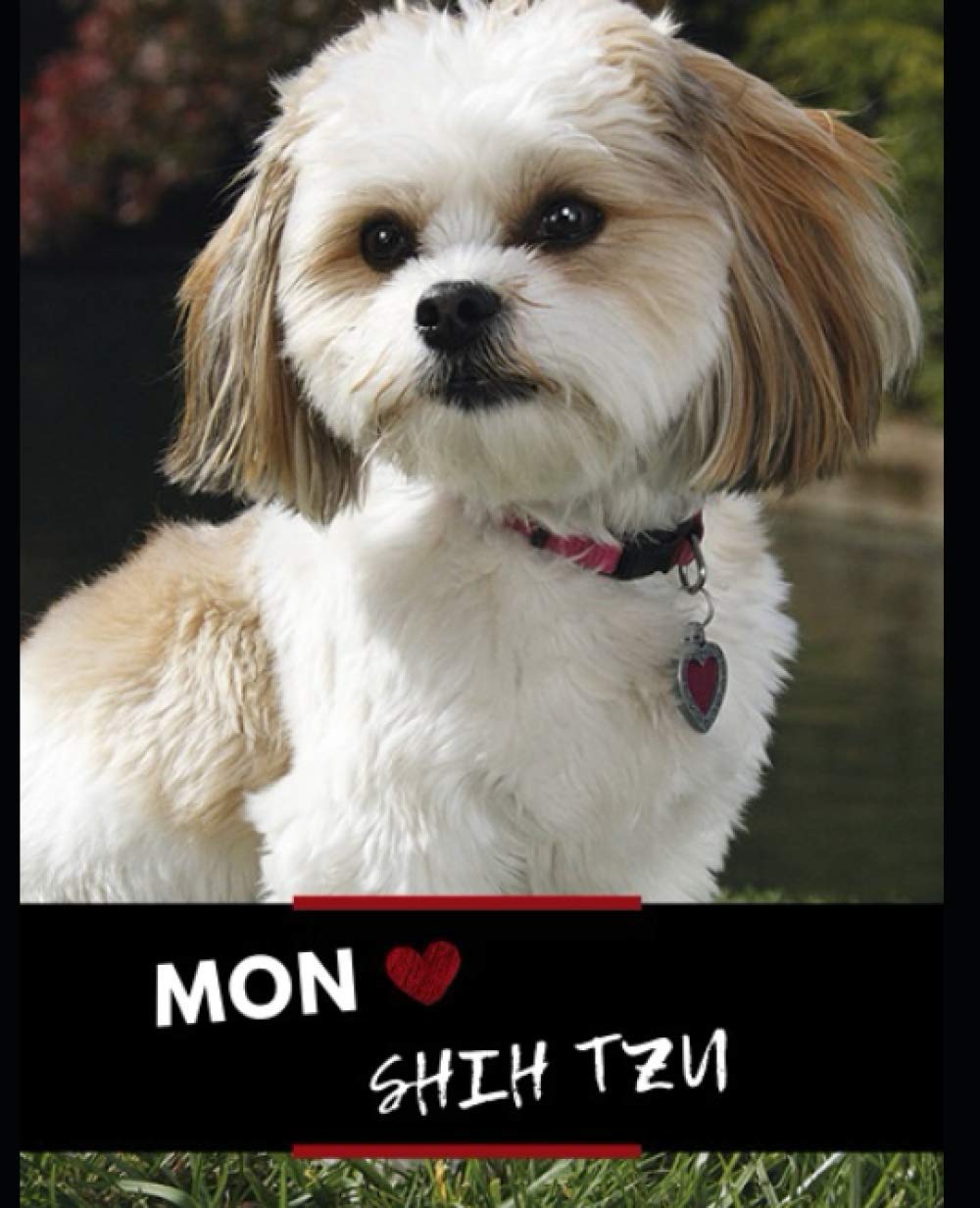 CARNET DE MON SHIH TZU / LIVRE PHOTO DE CHIOT A ADULTE / PLANNING VERMIFUGES VACCINATIONS ANTIPARASITAIRES/ VISITES VETERINAIRES / SPORT & EDUCATION: A REMPLIR / DEDIER A VOTRE SHIH TZU