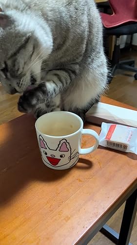 Amazon｜「 ノンタン 」 カレー皿 820114｜子ども用プレート