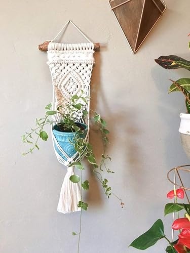Miniatura 4 de WILD COTTON Fiber Arts Macrame Plant Hanger Indoor Wall Hanging Planter Basket Long Flower Pot Holder Boho Home Decor, 30 Inch