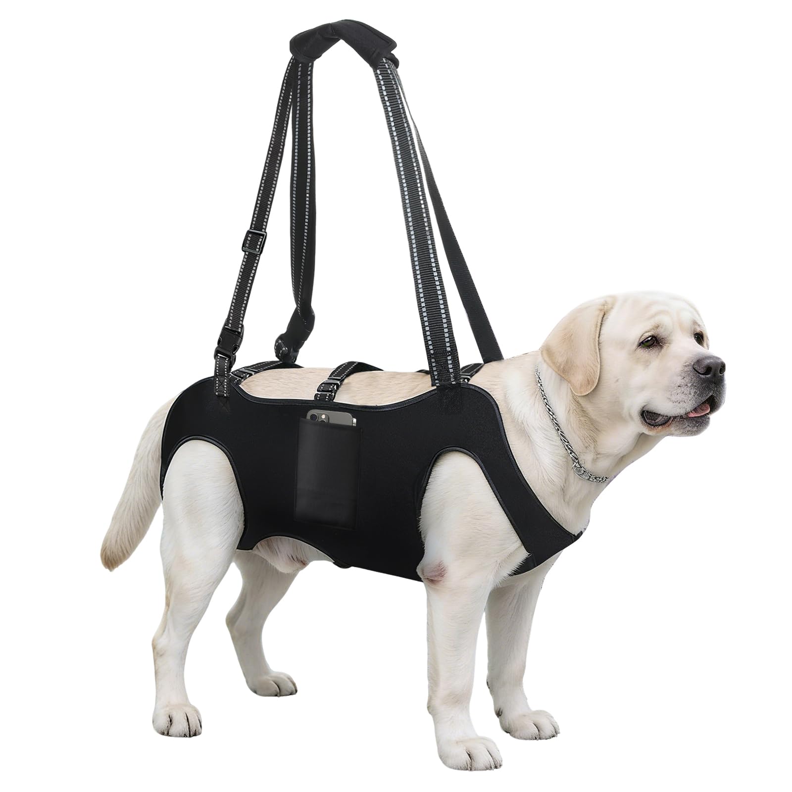 Dog Lift Harness with Pocket Full Body Dog Harness with Adjustable Handle Dog Carrying Sling Pet Legs Support Sling for Senior Dogs Joint Injuries Post Surgery Recovery Hiking,Black,XL-image-37