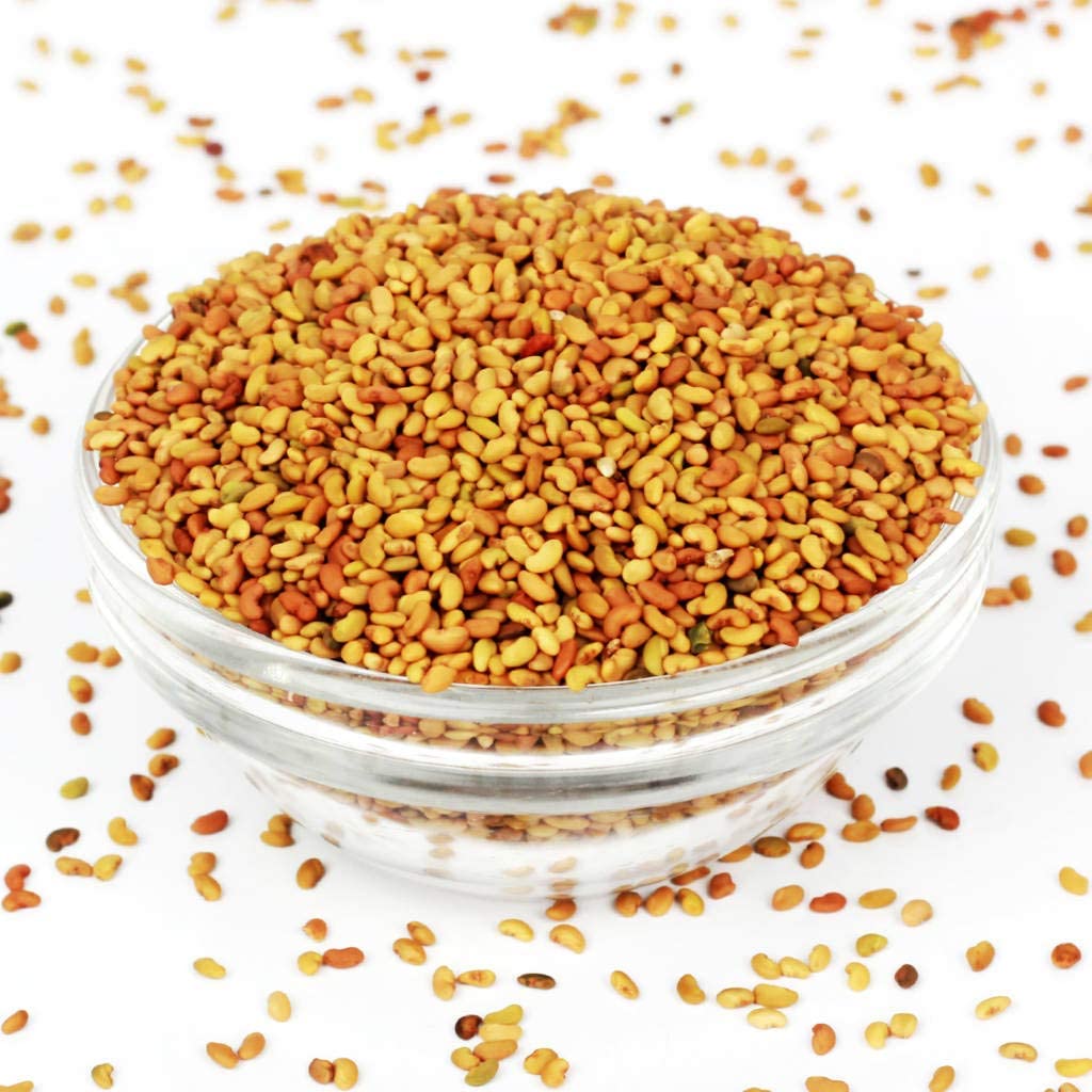 YUVIKA Alfalfa seeds - Lucerne Grass Seeds 200 Grams