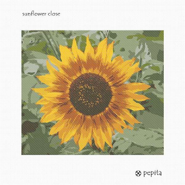 Pepita Needlepoint kit: Sunflower Close, 10