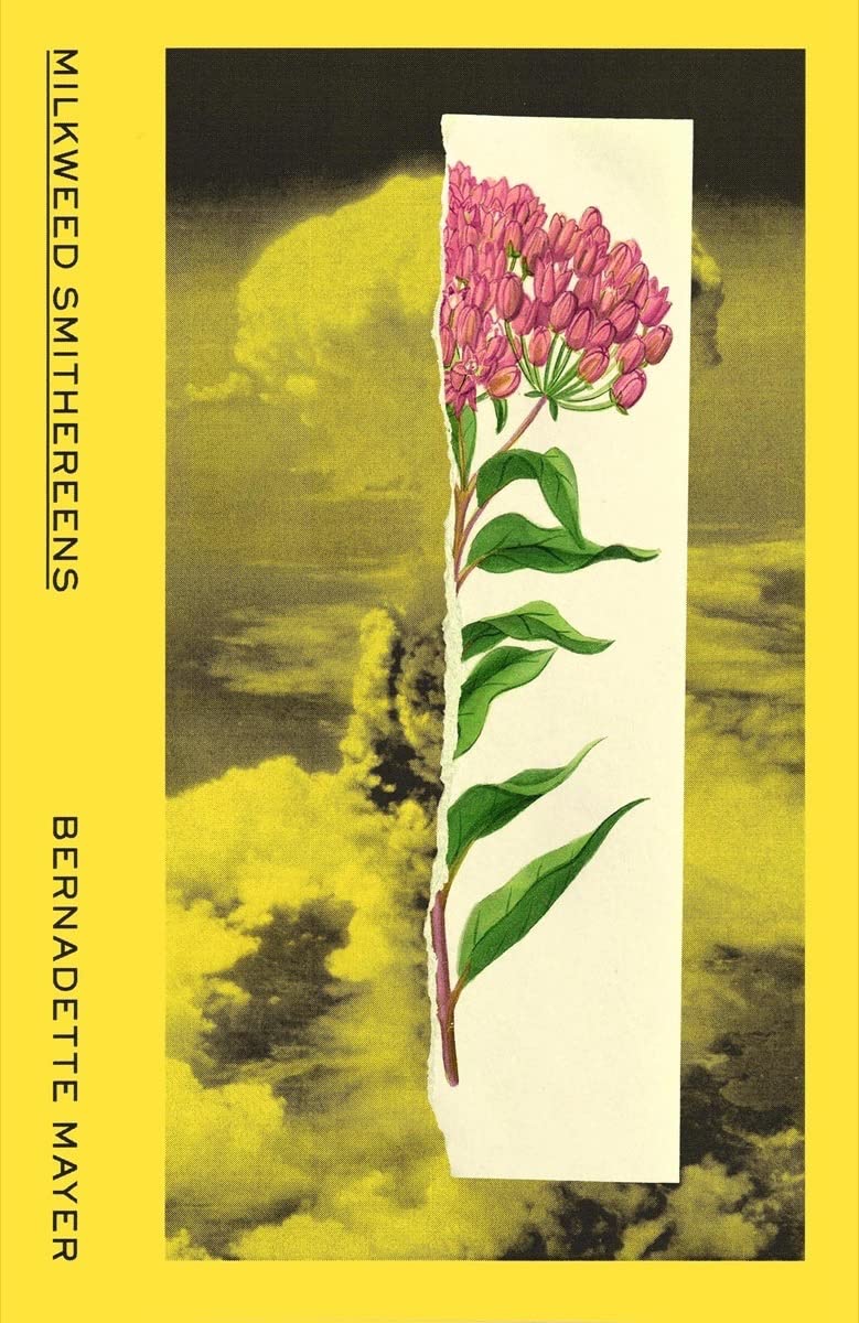 Milkweed Smithereens by Bernadette Mayer - 9780811229227