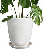 Vista 44 de Macetas de cerámica de 6 pulgadas para plantas, macetas de cerámica con orificio de drenaje y platillo, maceta para plantas de interior, maceta