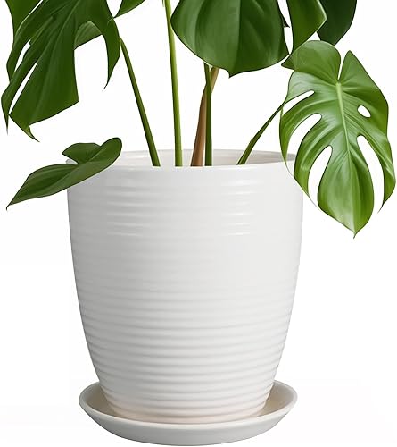 Maceta de Cerámica de 8 Pulgadas, Maceta Redonda con Agujero de Drenaje y Platillo, Maceta Moderna para Plantas de Interior y Exterior, Blanca