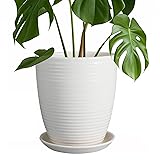 8 Inch Ceramic Planter Pot Round Plant Pot with Drainage Hole and Saucer Modern Flower Pot for Indoor Outdoor Plants White 8 Inch Matte White