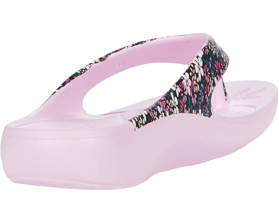 Alegria Ode - Back View