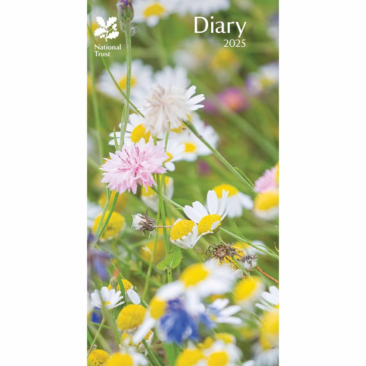 Carousel Calendars National Trust Slim Diary 2025 (PFP)