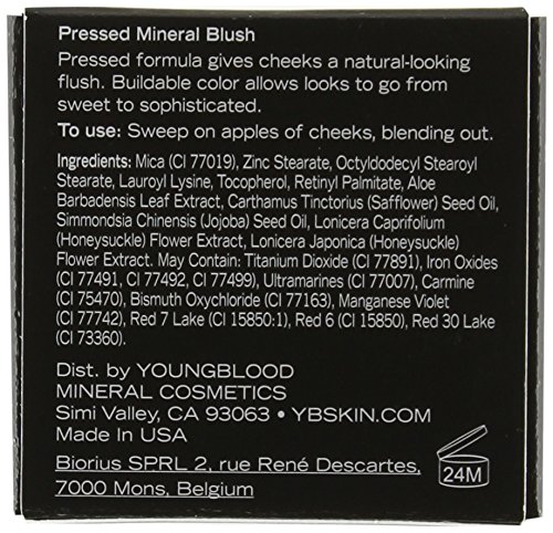 Youngblood Clean Luxury Cosmetics Pressed Mineral Blush, Bashful | Powder Cheeks Compact Pink Minerals Skin Brush Natural Matte Glow Rose Peach Complexion Sensitive | Cruelty Free, Paraben Free #TOP3