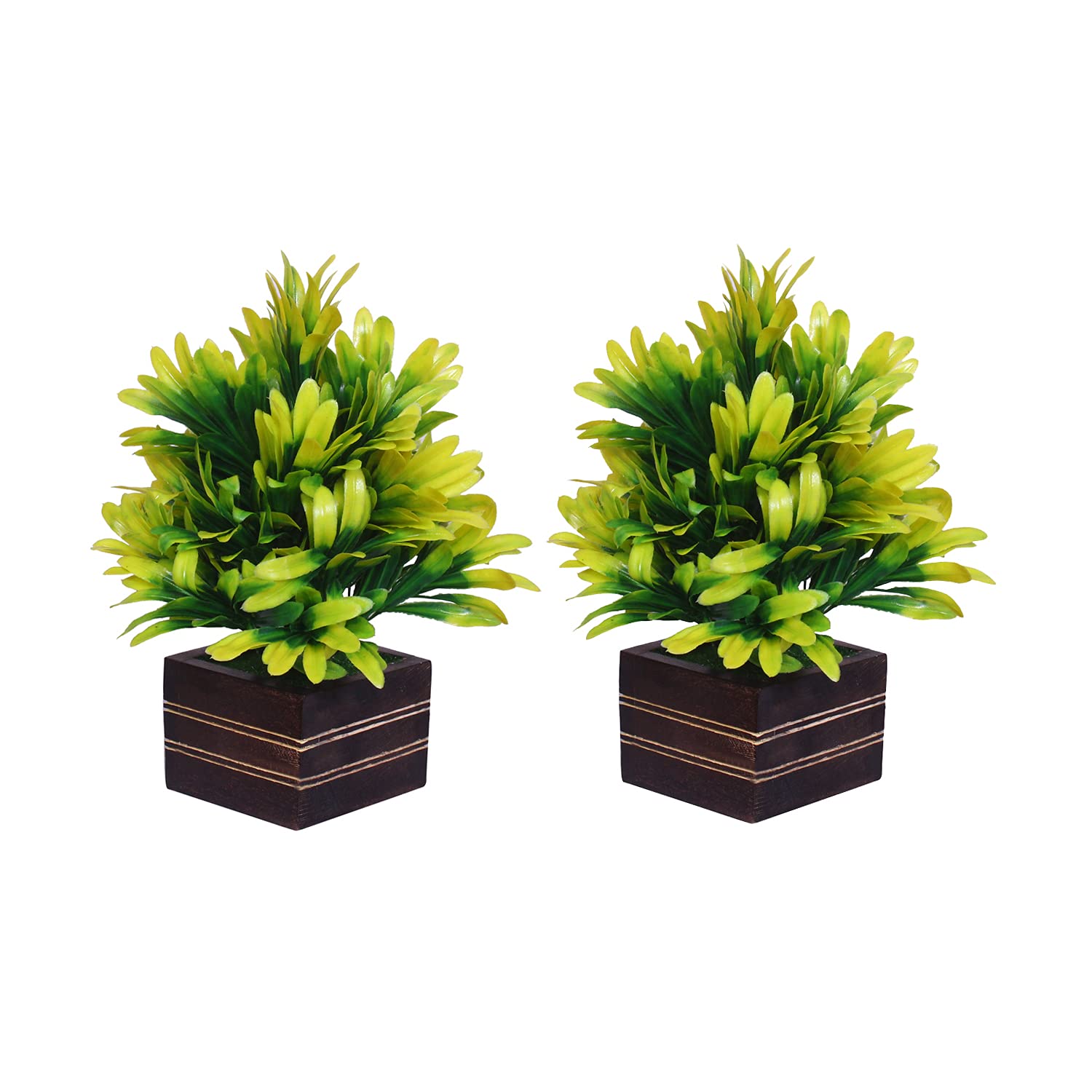 ModoModo Artificial Bonsai Plant with Wooden Square Pot for Home & Office Decor (22 CM, Set of 2 Plant|Combo) - Yellow & Green