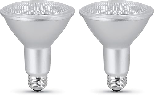 Feit Electric Bombillas LED PAR30L, equivalente a 75 W, regulable, luz diurna de 5000 K, 750 lúmenes, vida útil de 22 años, base E26, luces de