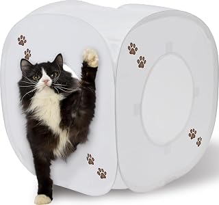 猫壹 Cat Play Cube (白色)