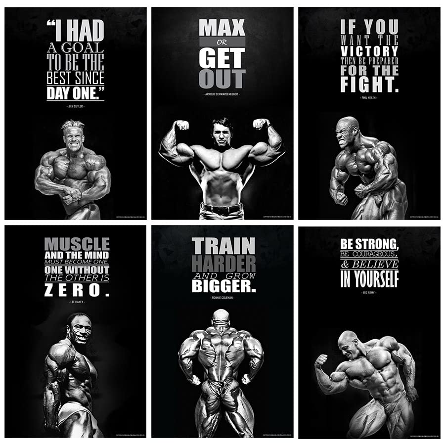 Buy Motivational Wall Posters and Inspirational Quotes for Office, Home and Gym, (Workout Quotes