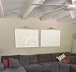 Review Image by D. Braidman D. Braidman