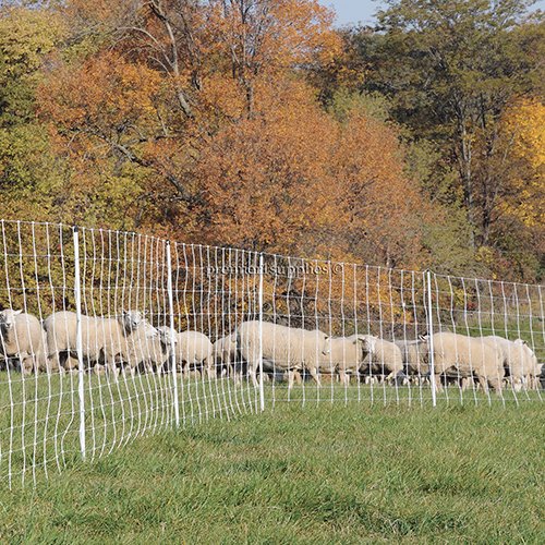 Miniatura 4 de Premier 1 ElectroFence+ Kit de inicio  Valla de red eléctrica blancanegra  48 pulgadas de alto x 100 pies de largo, incluye Energizador solar,