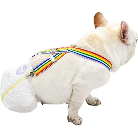 Amazon 犬と生活 サスペンダー おむつ サニタリーパンツ ずれ防止 Xs ピンク 犬と生活 ペット用品 通販