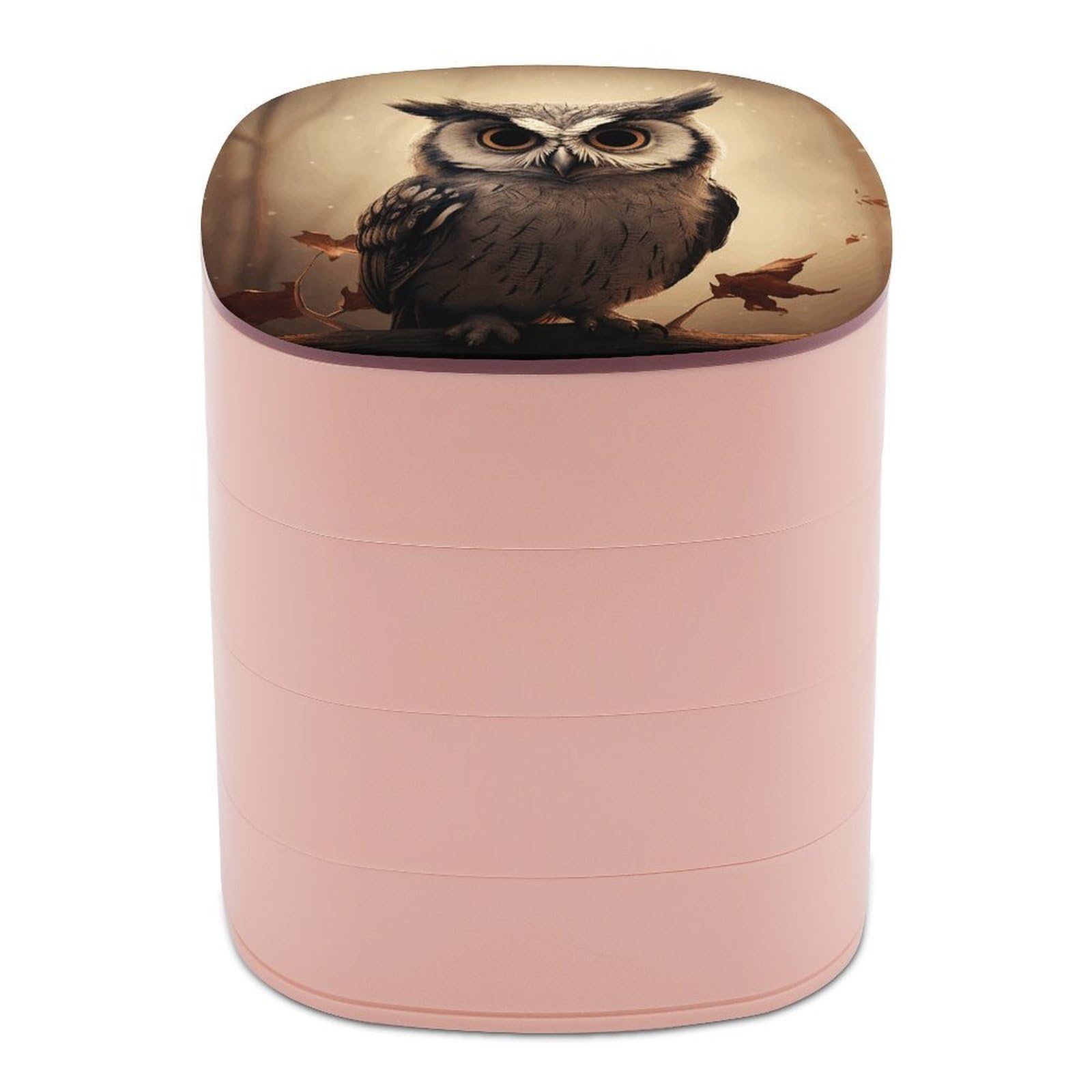 VstaDank Cute Owl Jewelry Box with Mirror Travel Small Jewelry Case for Women 4-Layer Rotatable Jewelry Organizer Storage Box Portable Jewelry Storage Case for Rings Earrings
