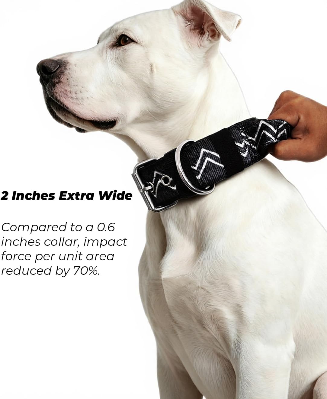 NeckShield Control Dog Collar for Large Dogs-2 Inches Wide with Pressure-Relief Padding, Professional Protection for Large & Giant Breeds, Charcoal Black S