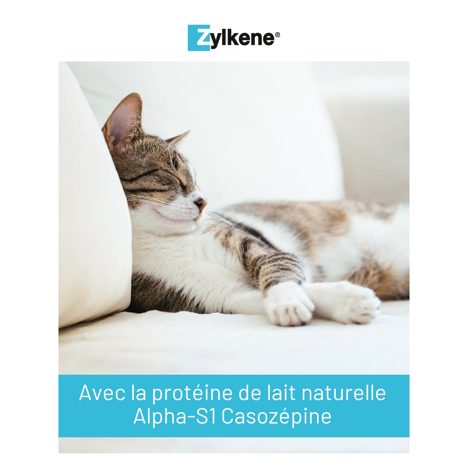 Zylkene Vetoquinol Gélules 75 mg | Pack de 60 | 6 x 10 Gélules | Complément alimentaire pour chien | Peut aider à soutenir les chiens dans des situations inhabituelles