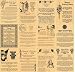 12 Book of Shadows Pages on Crystal Magic - Wicca Posters - Real Witchcraft Spells - Heavy Parchment - BOS Pages (Gold)