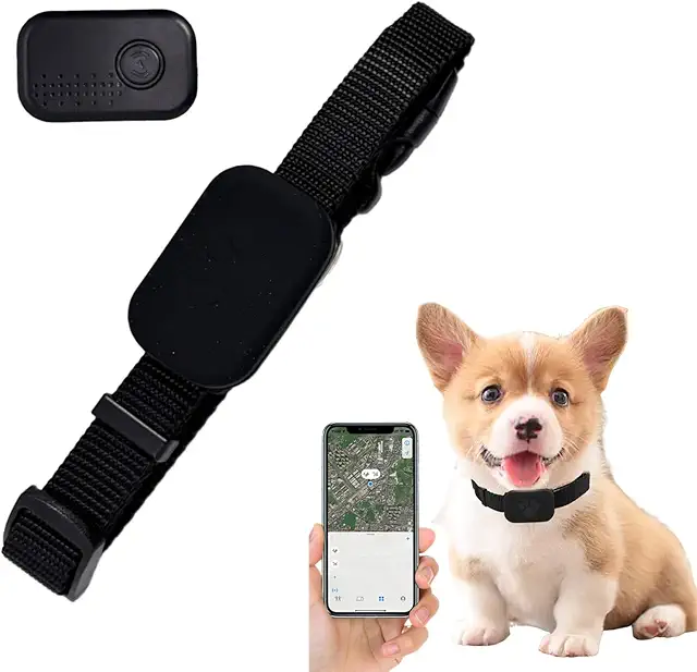Localizzatore GPS per Cani e Gatti - Collare Bluetooth Impermeabile Senza Abbonamento