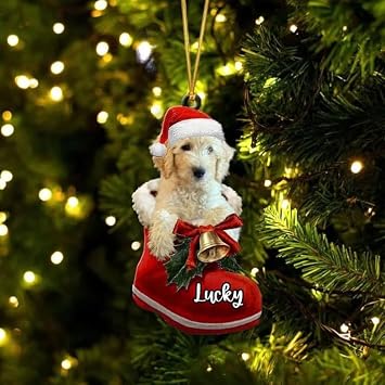 Custom Goldendoodle Cream in Santa Boot Christmas Acrylic Ornament, Personalized 2D Shaped Ornament, Christmas Ornament, Custom Your Dogs Name, Dog Ornaments, Gifts for Dog Lover, Christmas