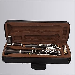 Professional Wood Clarinet G Tone 20 Keys Woodwind Instrument Clarinet for Beginner (Color : 02)