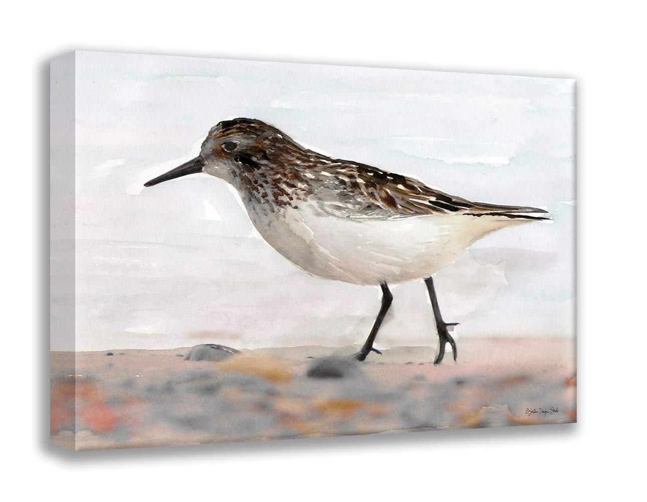 ArtDirectStellar Design Studio 24x20 Gallery Wrapped Canvas Museum Art Titled: Sandpiper 2