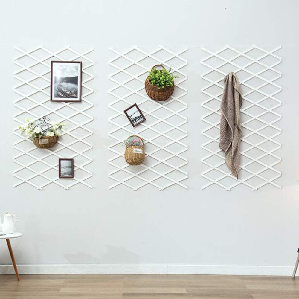 テレビで話題 拡大するトレリス登山植物庭調節可能な収縮長方形リビングルーム壁頑丈な屋外野菜の花つるフレーム白 吊り下げ式装飾品を除く 白 3個 Rachelbaptista Com Br テレビで話題 拡大するトレリス登山植物庭調節可能な収縮長方形リビングルーム壁頑丈な屋外野菜の花つるフレーム白 吊り下げ式装飾品を除く 白 3個 Rachelbaptista Com Br