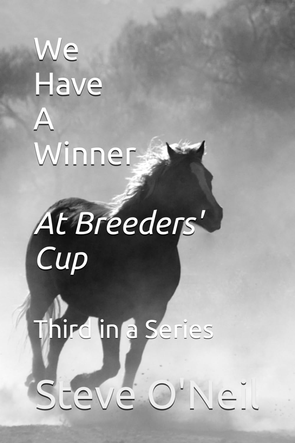 We Have A Winner At Breeders' Cup (First)