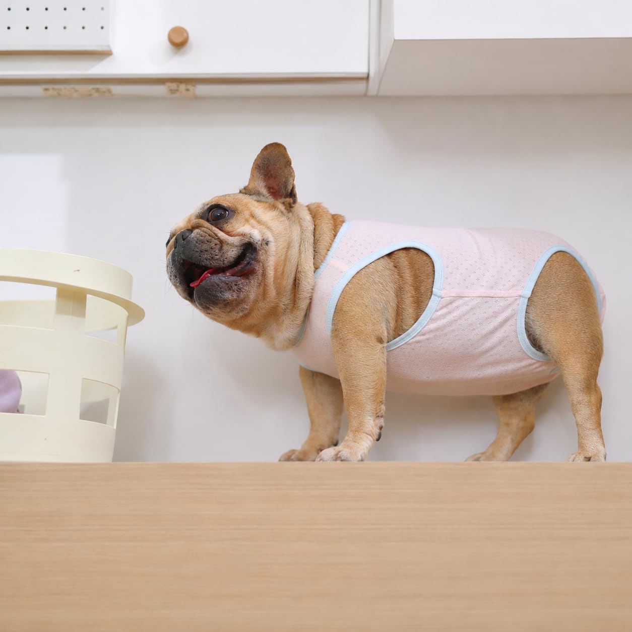 Tuta per recupero da chirurgia bulldog francese, morbida e traspirante, per post-operatorio, alternativa al collare eliscico, bendaggio per ferite, per sterilizzazione neutra (rosa, XXXXL)