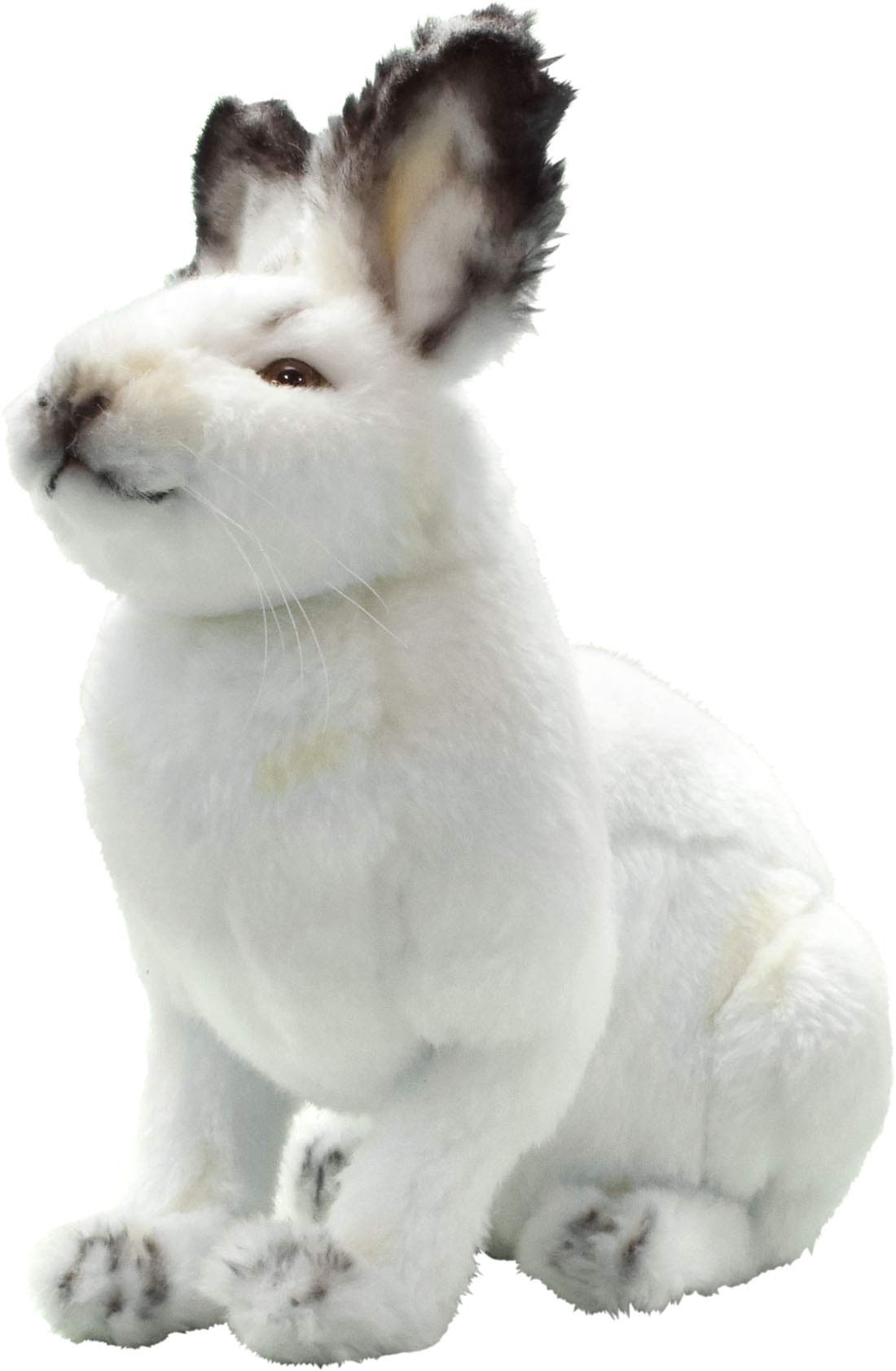 ジョンホワイト　ウサギ Amazon.co.jp: ホッキョクウサギ No.4999 : おもちゃ