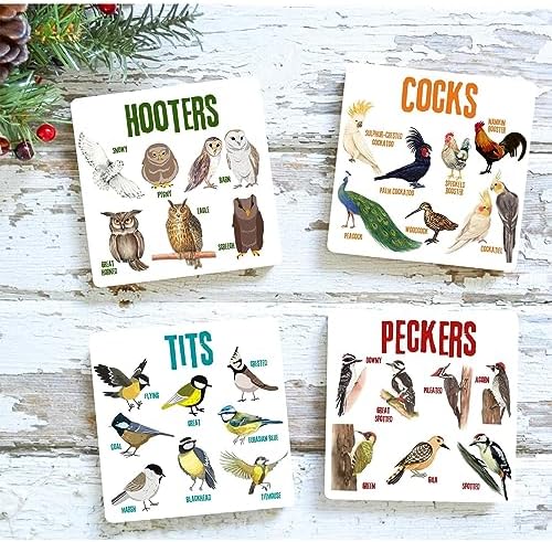 Bird Pun Coasters Set Of 4 – Funny Wooden Coasters For Bird Lovers, 4x4 Inch
