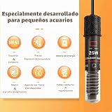 Ver la foto 4