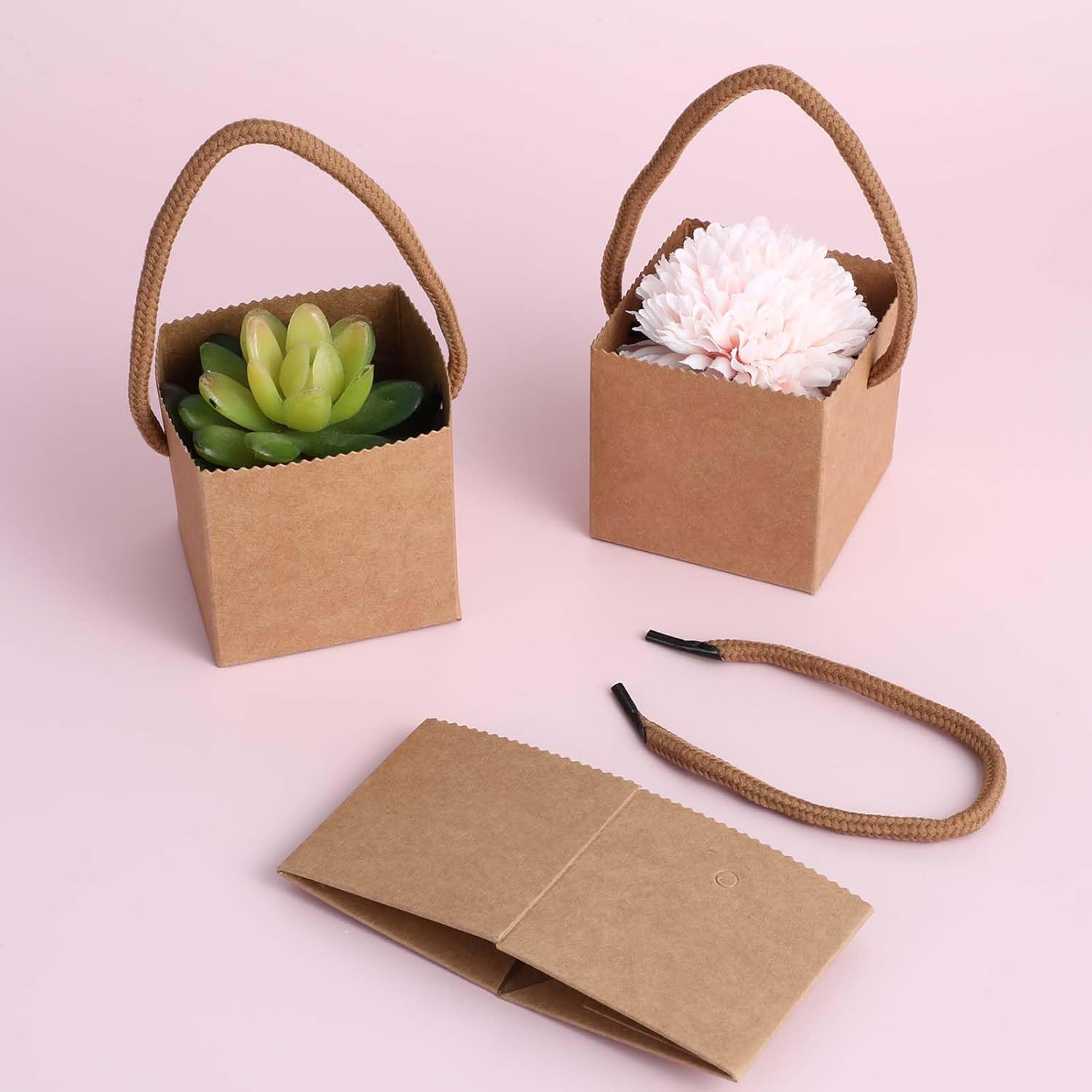 Lemecima 100Pcs Succulent Wrap Bags Succulent Gift Box Fits 2.5 Inch Pots Wedding, Baby Shower, Succulent Party Favors for Guests - Image 7