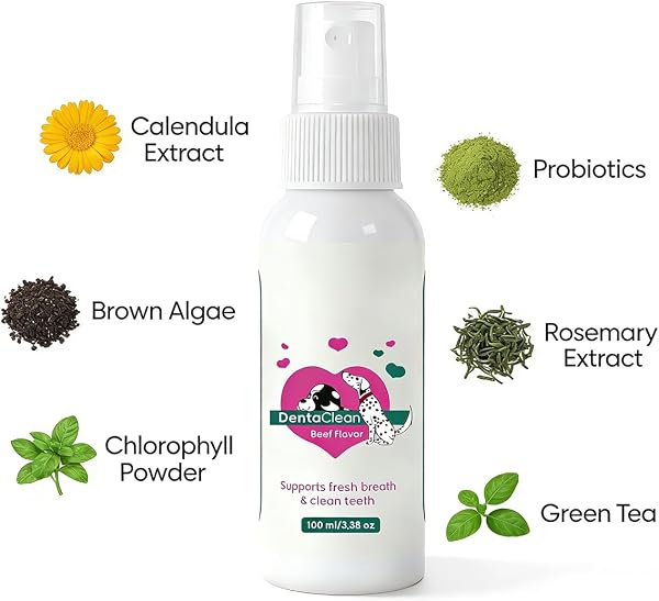 Spray Dentaire Chien, 2026 Nouveau Spray Dentaclean pour Chiens et Chats,Sans Rinçage ni Brossage | Élimine Mauvaise Haleine | Remplace brosse a dent chien | Anti Tartre et Mauvise Haleine,100ml - 3