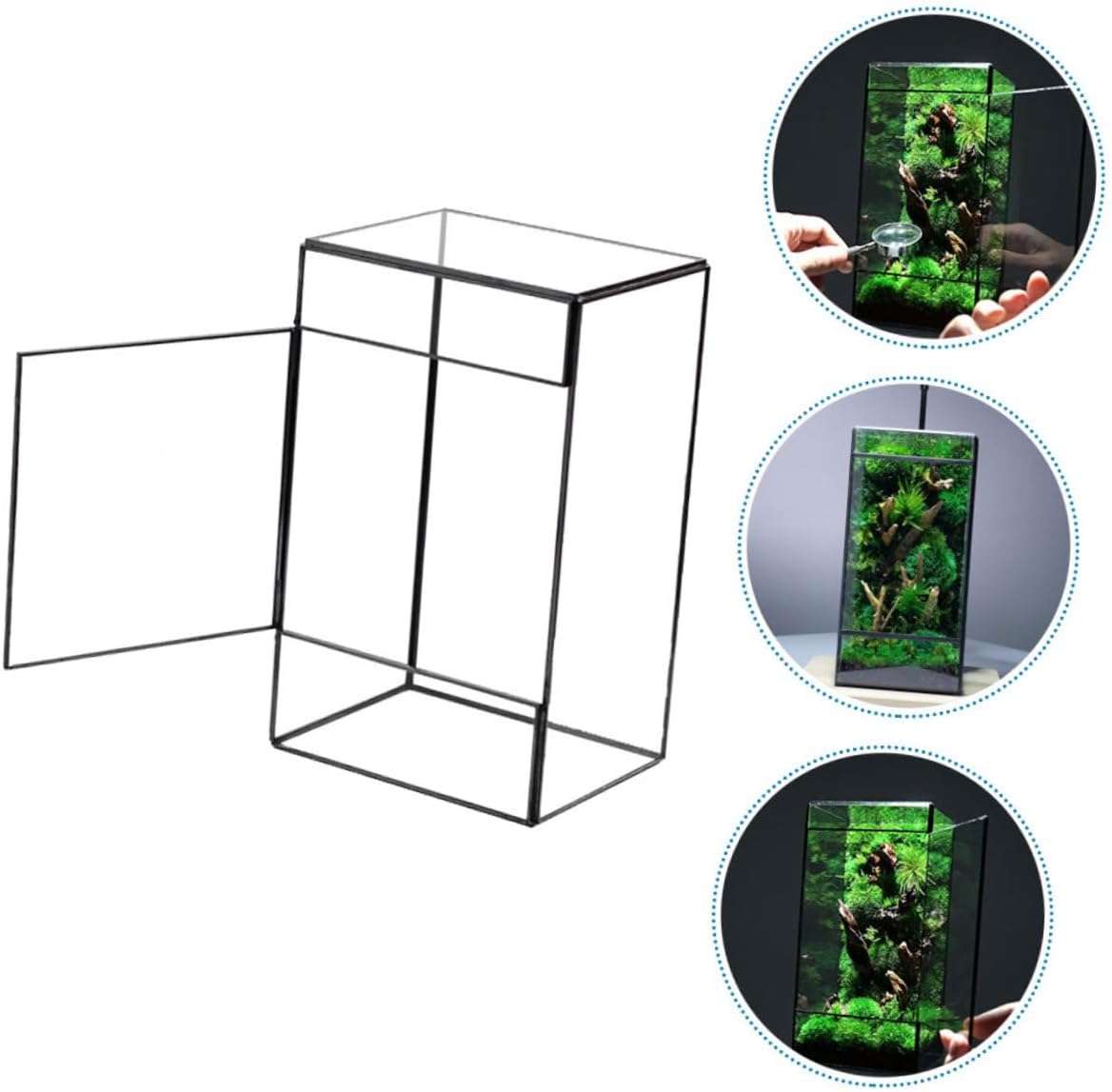 POPETPOP Micro Landscape Terrarium Holder Artistic Glass Container for Desktop Plants Miniature Ecosystem for Home Office Decor for Moss Succulents