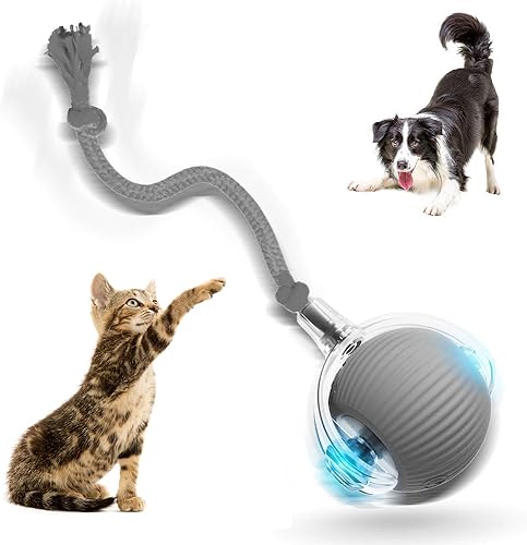 Pelotas interactivas de juguetes para gatos de interior, nuevas bolas activadas por movimiento 2025 con movimiento automático inteligente de 360