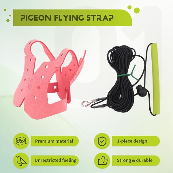 オウム 鳩用ハーネスとリーシュ 飛行用 噛みつき防止 牽引ロープ ストラップ 鳥の訓練 屋外持ち運び 調節可能 鳥用 B - 2